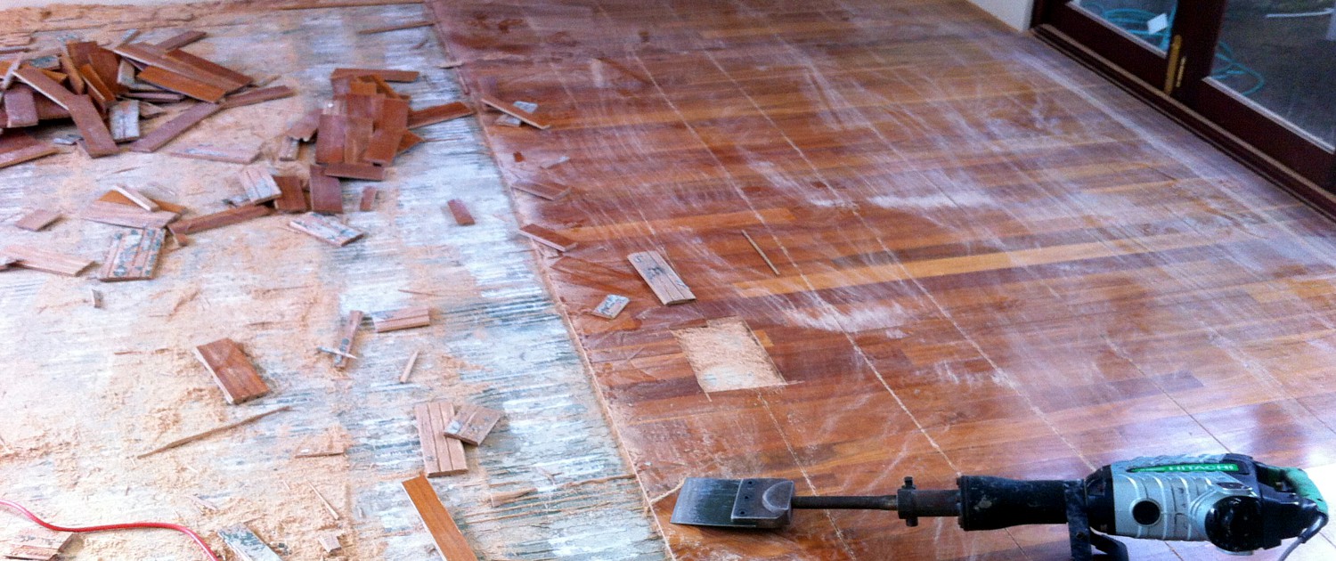 Timber Removal Sydney